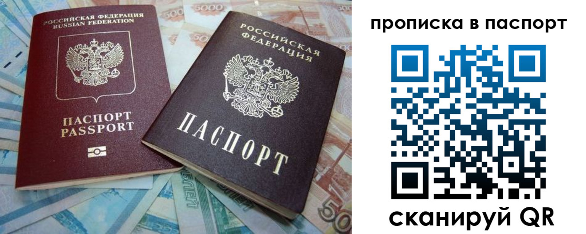 прописка поиск в Бронницах